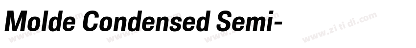 Molde Condensed Semi字体转换